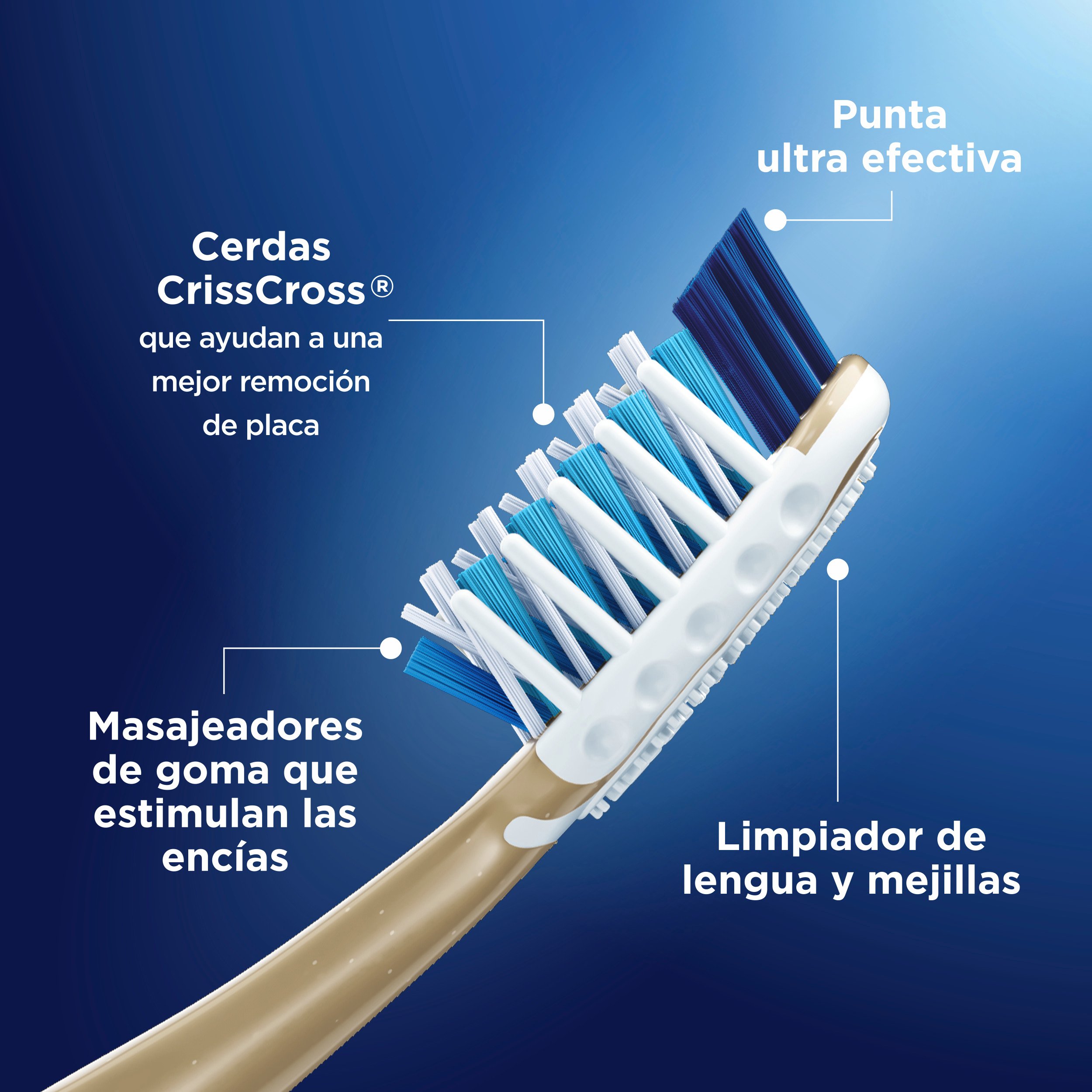 Cepillo De Dientes Pro Salud 7 Beneficios