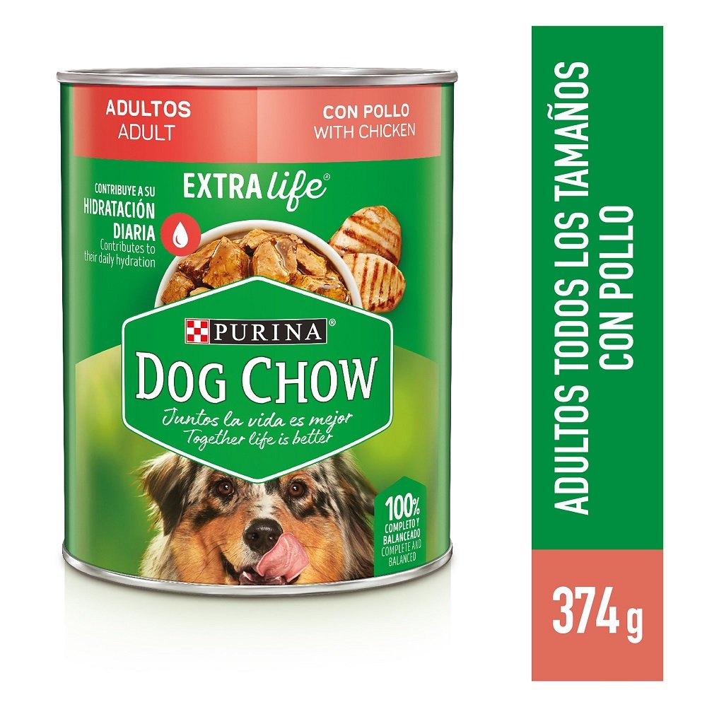 Comida húmeda para perros Dog Chow adultos minis y pequeños sabor pollo 100  g