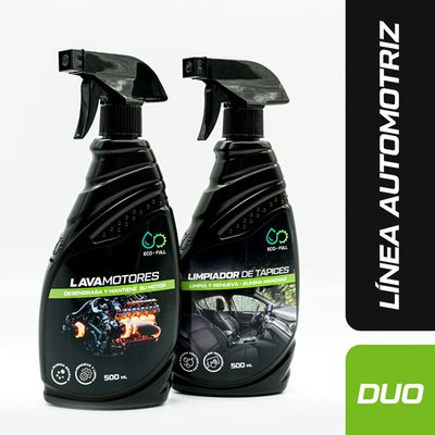 undefined - Duo limpiador de tapiz + lavamotores